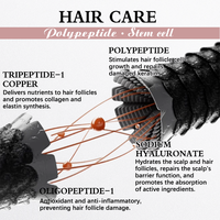 Kit de poudre lyophilisée pour cheveux Applicateur de sérum Masseur du cuir chevelu pour la régénération des cheveux Masseur de cheveux pour la croissance pour hommes et femmes B