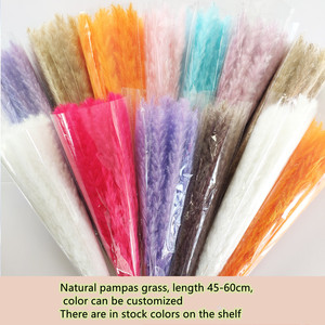 Ramo Pequeño de Hierba de Pampa Natural, Flores Secas para Decoración Minimalista del Hogar, Decoración Moderna y Arreglos de Boda - Product Image 2
