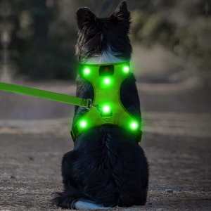 Arnés para mascotas recargable por USB iluminado Flashseen LED Arnés para perros Chaleco para perros brillante reflectante iluminado - Product Image 1