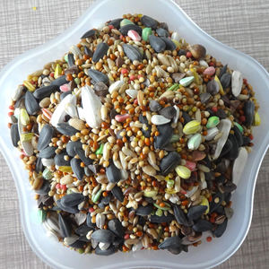 อาหารนกพรีเมียม 2 ปอนด์ สำหรับ<span class=keywords><strong>นก</strong></span>ค็อกเทลและ<span class=keywords><strong>นก</strong></span>เลิฟเบิร์ด - Product Image 3