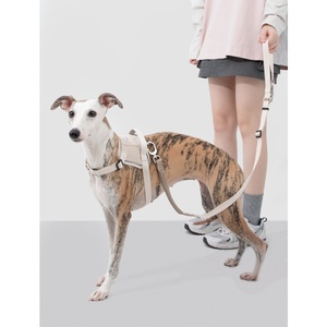 Hands Free <b>Dog</b> Leash Reflective Bungee Pet Lead And Heavy Duty Shock Absorbing Leash For Active Walking - Product Image 3