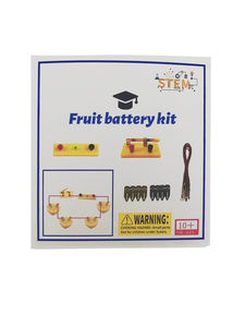 Kit <span class=keywords><strong>de</strong></span> <span class=keywords><strong>physique</strong></span> amusant Fruit Battery Experiment: Générer <span class=keywords><strong>de</strong></span> l'électricité à partir <span class=keywords><strong>de</strong></span> la nature - Product Image 3