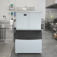 Machine commerciale de fabricant de glaçons d'acier inoxydable de haute qualité 1000kg forme de bloc de glace de 110V avec des composants de noyau de vitesse en vente