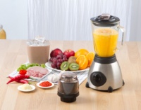 Licuadora Profesional de Cocina, de Acero Inoxidable Resistente, Eléctrica, para Jugos de Frutas Frescas, 2 en 1, Licuadora y Exprimidor con Jarra de Vidrio