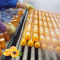 Leadworld Professionele Aangepaste Ingeblikte Ananas/Gele Perzik/Abrikozenmachine Automatische Fruitproductieproceslijn