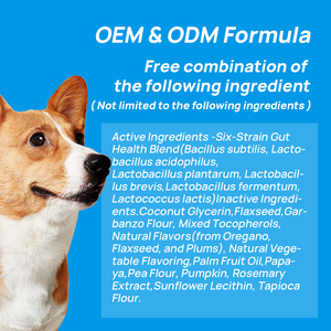 KISSBIO | OEM ODM Supplément probiotique naturel à mâcher doux à saveur de dinde pour animaux de compagnie pour chiens chats poissons soins de santé poudre friandises - Product Image 4