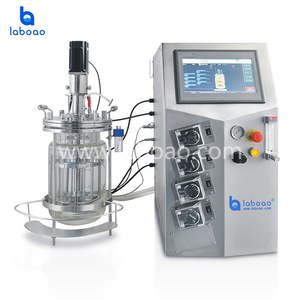 Sistema de Fermentación Biológica de Vidrio Laboao, Biorreactor para Cultivo de Células de Mamíferos e Insectos, 1L-15L - Product Image 6