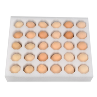 Boîte d'emballage d'œuf en forme de découpe en mousse epe personnalisée de haute qualité Protection d'emballage en mousse pour œufs