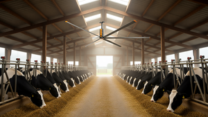 Ventilador de Techo HVLS Grande RTFANS con Aspas de Aluminio, Ahorro de Energía, Baja Velocidad, 1.5KW, 220V/380V, 20 pies, Control por Aplicación, Montaje en Techo, Uso Agrícola - Product Image 2