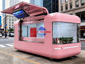 Camión de Comida Usado Totalmente Equipado para Helados y Hot Dogs, Capacidad de Carga de 1500 kg, Construcción de Acero Inoxidable, 1 Año de Garantía, Resistente a la Corrosión, en Venta - Product Image 3