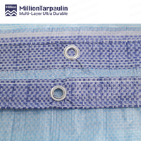 Million Hot Sale Bâche en plastique PE laminée à rayures bleues et blanches 55gsm 70gsm