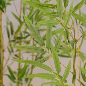 <span class=keywords><strong>Bambou</strong></span> <span class=keywords><strong>Artificiel</strong></span> de Haute Qualité à Prix Abordable Directement de l'Usine - Product Image 2