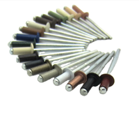 Rivet de bateau personnalisé couleur blanc noir bas prix extrémité ouverte Pop Rivet aveugle Avdel fournisseurs
