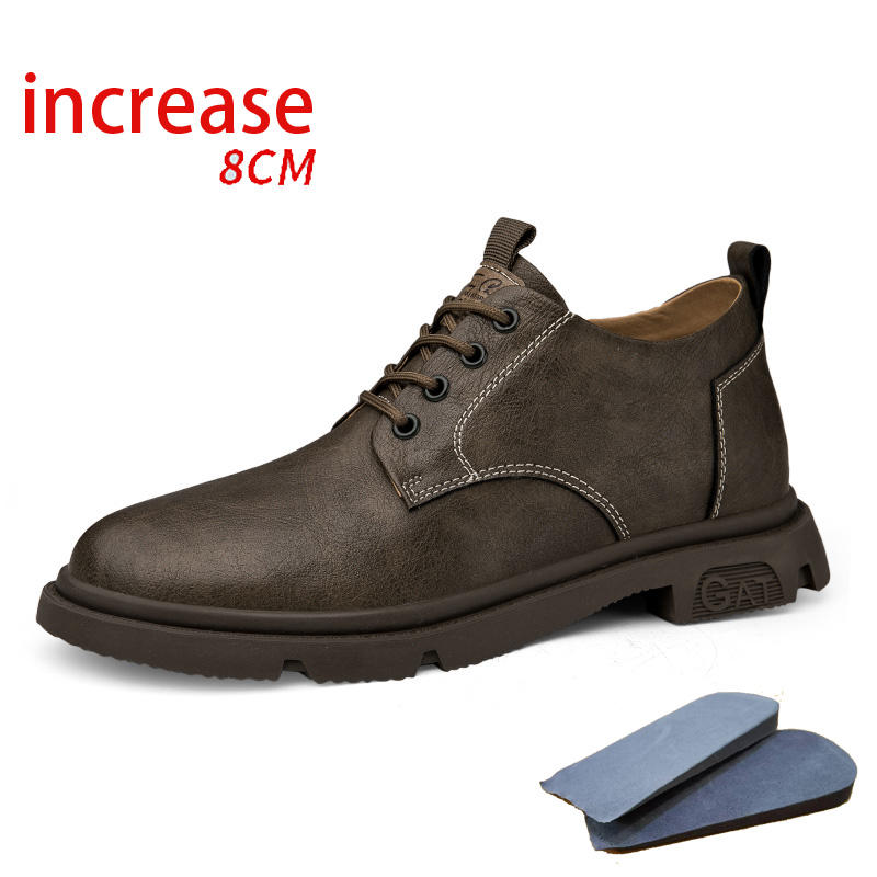 กากี [เพิ่มความสูง 8]