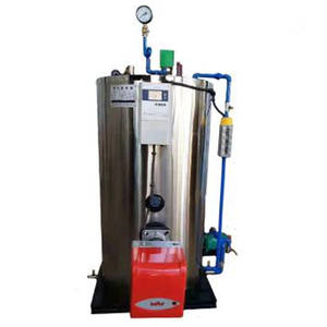 Generador de Vapor de Gas Natural, Petróleo y Diésel de 500l y 1000l, Equipo para la Elaboración de Cerveza - Product Image 2