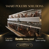 BANGYUAN AYA-600 – Nouvelle Cage Automatique Moderne pour Poules Pondeuses (90-200 œufs) – Prix Usine – Modèle à Batterie