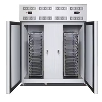 Armoire de congélation rapide à une température à économie d'énergie à haute efficacité Super basse température pour un goût frais rapide des aliments