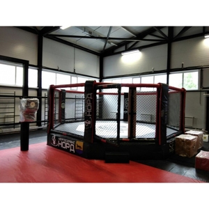 Jaula de MMA <span class=keywords><strong>Liangxin</strong></span> Pro para Eventos de Competición, Octágono de Lucha con Logotipo Personalizado - Product Image 3