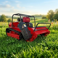 Tondeuse robot tout-terrain télécommandée à fléaux, largeur de coupe 800 mm, moteur diesel, pour collines et vergers