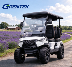Carrito de Golf Eléctrico de 4 Plazas con Batería de Litio, Todoterreno, Elevado, para Transporte en Villas y Resorts - Product Image 1