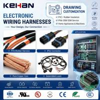 Arneses de Cableado Electrónico Personalizados con Aislamiento de PVC/Goma IP66, Ensamblaje de Cables OEM ODM para Electrodomésticos y Máquinas