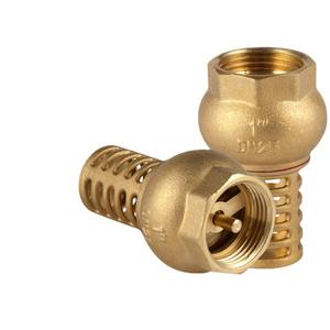 Vannes Yuhuan 1/2/4/8/9 pouces en laiton à filetage interne, clapet anti-retour, pompe à eau, clapet de fond avec filtre à filetage interne pour puits profond - Product Image 1