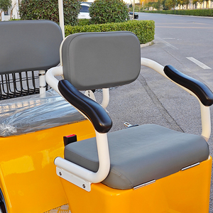 Vehículo Urbano Eléctrico de 3 Pasajeros con Batería BAK, Mini Autobús Turístico Eléctrico para Uso en Zoológicos - Product Image 5