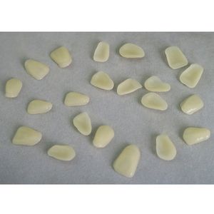 Carillas de resina de una capa - Product Image 4