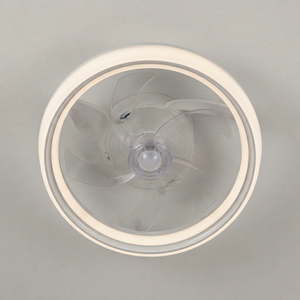Ventilador de Techo con Luz de Marca Privada, Fabricantes de Fábrica para Marcas de Decoración del Hogar y Diseño de Interiores Personalizadas - Product Image 1