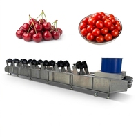 Fruit- en groente-luchtdroogmachine, industriële automatische gaasband droogmachine voor uien
