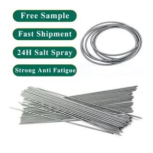 Elastic Stainless Steel Wire Coil Frameless Circle Garter Oil Seal spring