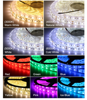 Vente d'usine bande lumineuse LED intelligente 12V 300Led 5M étanche IP65 SMD 5050 couleur unique 3000k 4000k 6000k avec mode de contrôle d'application