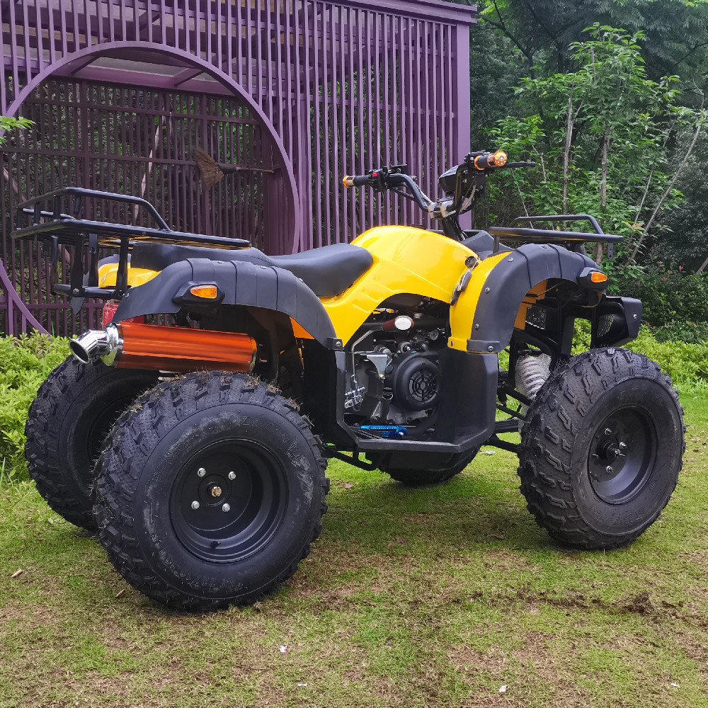 China Supplier Sale ATV Farm Vehicle 200cc Electric ATV Farm Vehicle Quad Bike
