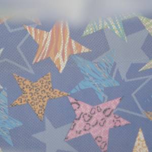 ถุงช้อปปิ้งแสนสะดวก160gsm ถุง PP เคลือบไม่ทอพร้อมซิปใช้งานได้จริงสำหรับการใช้งานในชีวิตประจำวัน - Product Image 4