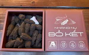 Incienso Premium de Cono de Jabonera, Aroma Herbal Natural, Conos de Incienso Hechos a Mano, Fragancia Duradera para Relajación y Meditación - Product Image 4