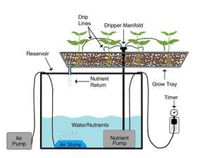 الهواء الحجر 4x2 بوصة كبيرة الهواء الحجر اسطوانة لحوض السمك و الزراعة المائية مضخة هواء - Product Image 5
