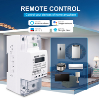 TOMZN-Medidor de energía inteligente bidireccional, 1P + N 65A, WiFi Tuya, temporizador, consumo de energía, monitor, kWh, vatímetro, 1 unidad
