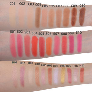 Paleta de <span class=keywords><strong>Maquillaje</strong></span> Vegano de un Solo Color, Corrector, Iluminador, Polvo, Rubor, Marca Privada - Product Image 5