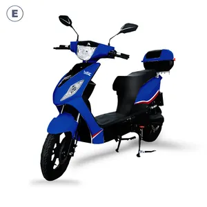 Kurşun asit pil ile 2024 hızlı teslimat çift Pedal elektrikli Scooter satılık 800w 48v