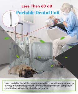 Unidad dental portátil con escalador de <span class=keywords><strong>pájaro</strong></span> <span class=keywords><strong>carpintero</strong></span> para uso veterinario - Product Image 6
