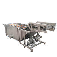 Hoogrenderende Industriële Plantaardige Mango Reiniging Bosbessen Aardbei Fruit Wasmachine