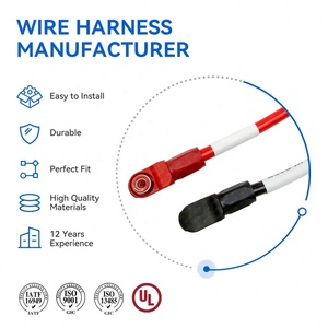 Çinli Üreticiden Su Geçirmez Konnektörlü Özelleştirilebilir Yeni Enerji Araç Akü Kablosu Güç Dağıtım Panosu Kablo Demeti - Product Image 3