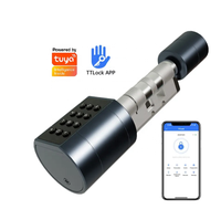 Serrure de cylindre intelligente à empreintes digitales TTlock/ Tuya, mot de passe, clé mécanique, serrure de porte électronique intelligente numérique