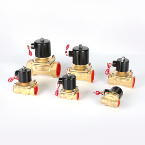 Vanne solénoïde en laiton de haute qualité 3/8"-2" pour machine à laver, aimanté moyen à fort, 2W, vente chaude usine - Product Image 4