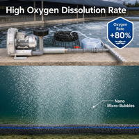 Système d'aération pour étang d'élevage de crevettes en aquaculture avec diffuseur d'air à micro-nanobulles et souffleur d'oxygène