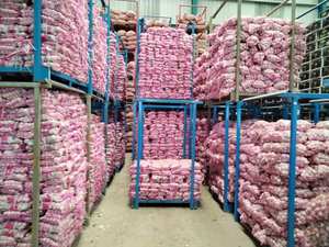 Nueva cosecha de ajo blanco puro fresco y ajo blanco normal, precio de ajo al por mayor más bajo, Alho Ail Ajo - Product Image 4