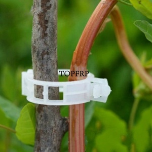 Plastic Plant <b>Support</b> Clips, Greenhouse <b>Tomatoes</b> Plant Clips - Product Image 3