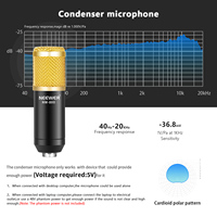 Neewer – support de Microphone et de bras de Microphone à condensateur professionnel, avec support antichoc et pince de montage