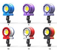 DENGWEI LE300Bi 300W Lumière d'appoint vidéo LED COB bicolore en métal OEM CRI 96+ avec télécommande pour studio photo