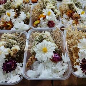 Kit de fleurs séchées naturelles blanches, boîte de matériaux de fleurs séchées préservées pour la fabrication artisanale de résine, la fabrication de bougies, la décoration de cadres <span class=keywords><strong>photo</strong></span> - Product Image 1